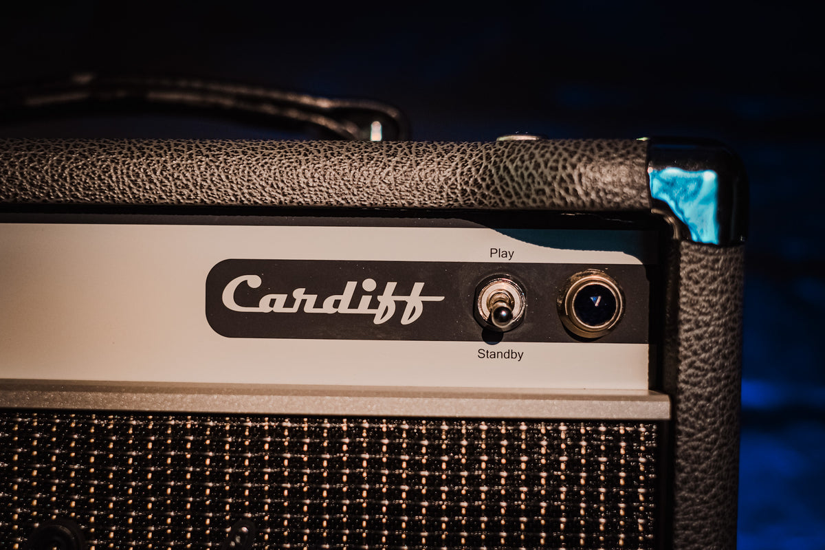 PRE-LOVED Two Rock Cardiff 15 Watt Guitar Valve Amp Head