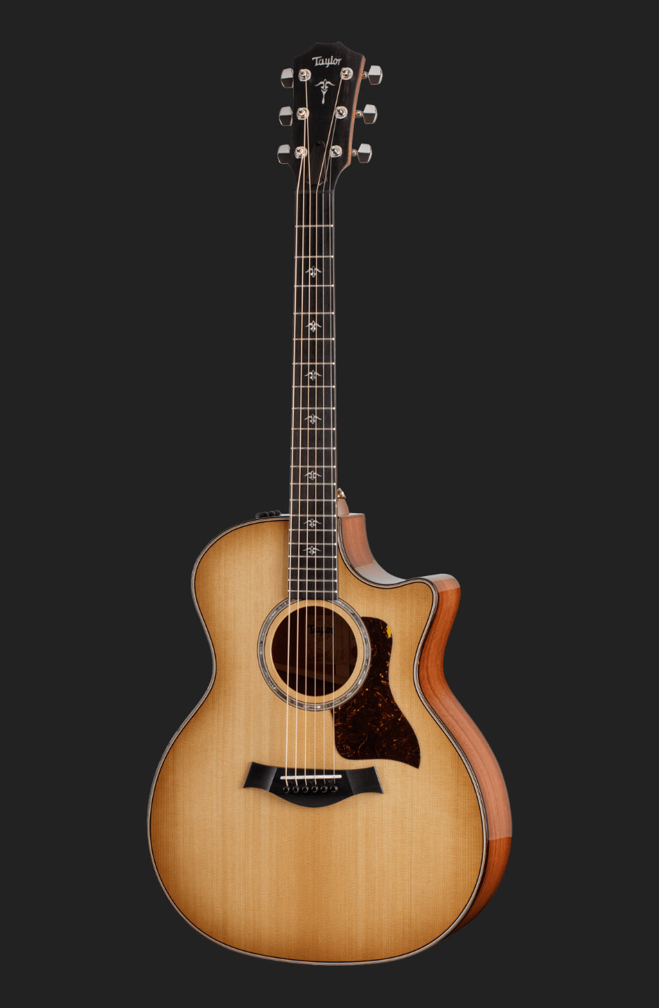 Taylor 514ce Grand Auditorium