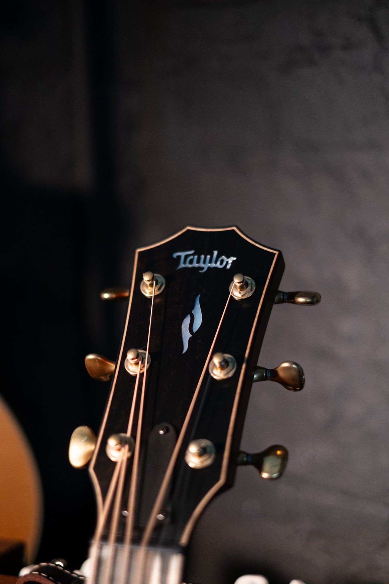 Taylor Builder's Edition 814ce Blacktop