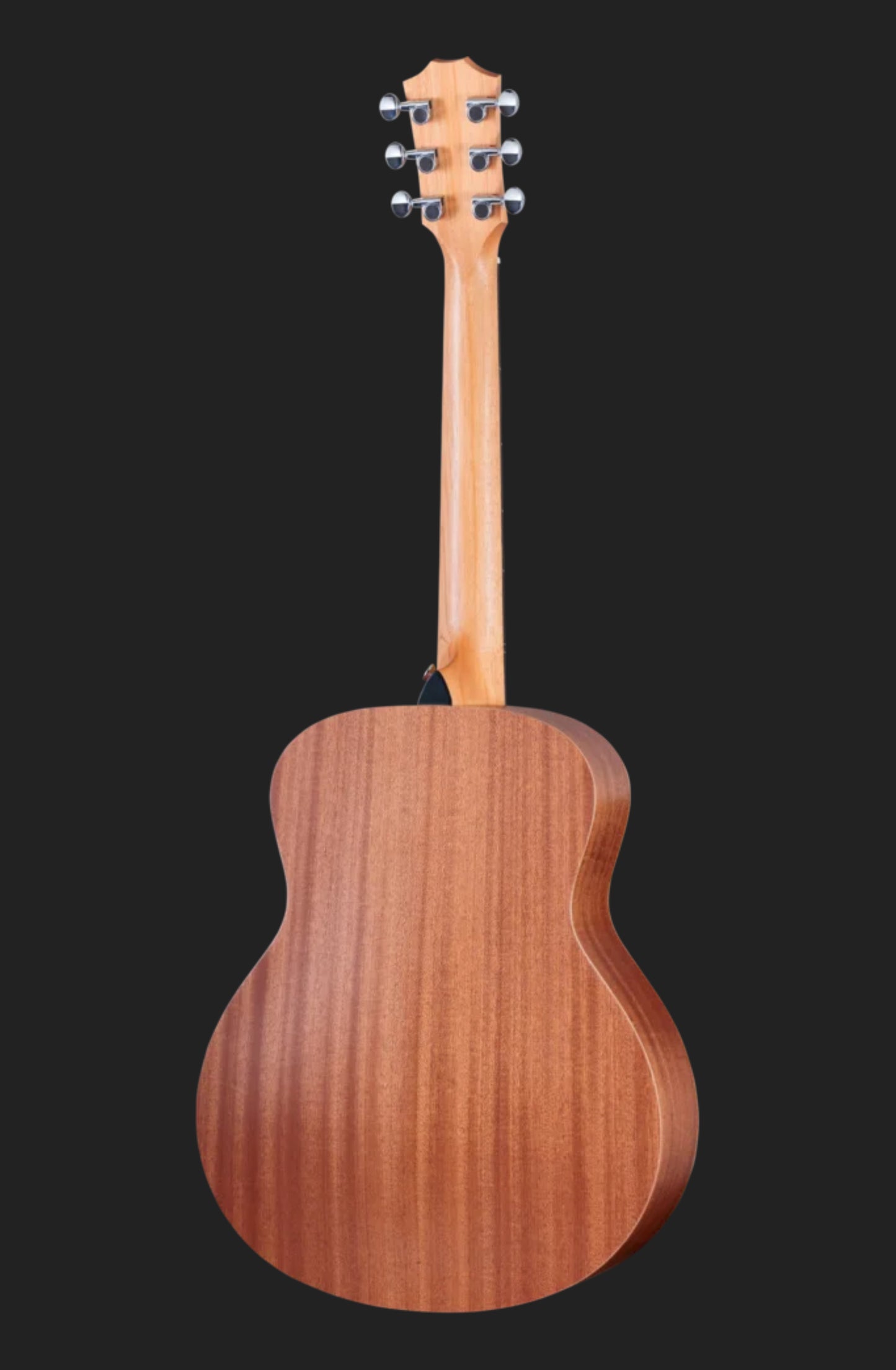 Taylor GS Mini
