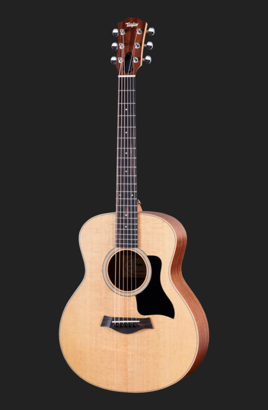 Taylor GS Mini