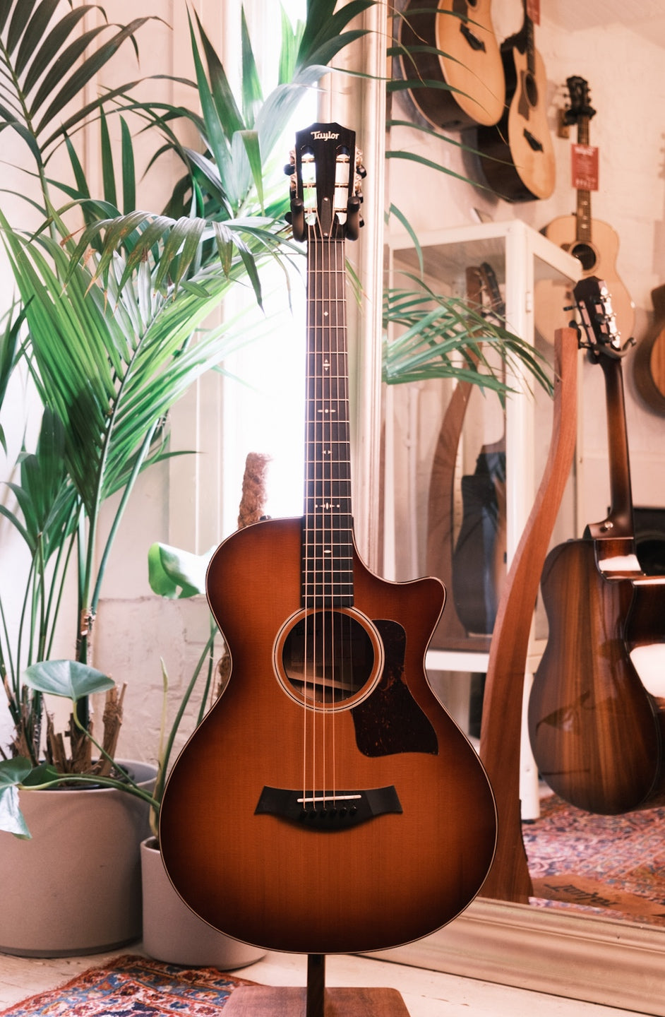 Taylor 512ce 12 Fret LTD V Class