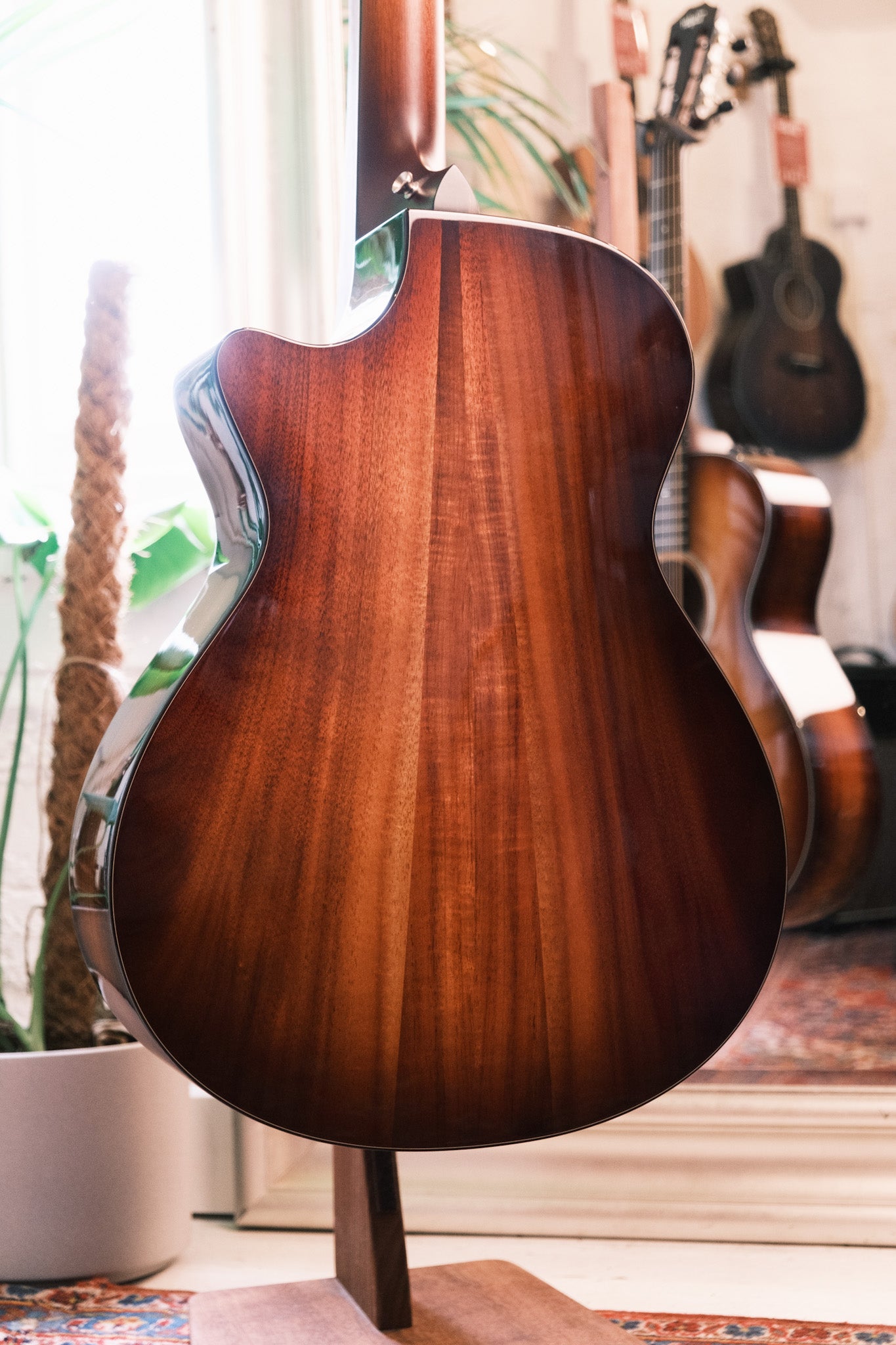 Taylor 512ce 12 Fret LTD V Class