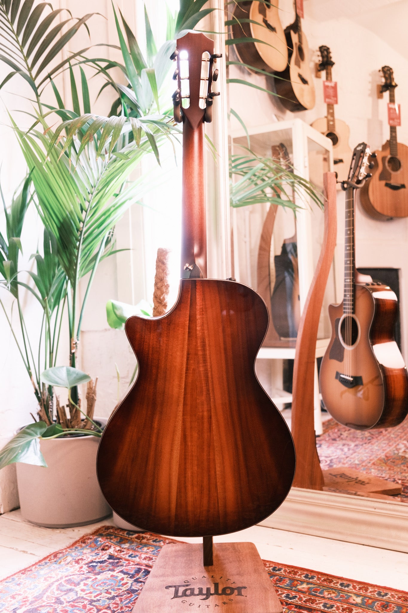 Taylor 512ce 12 Fret LTD V Class