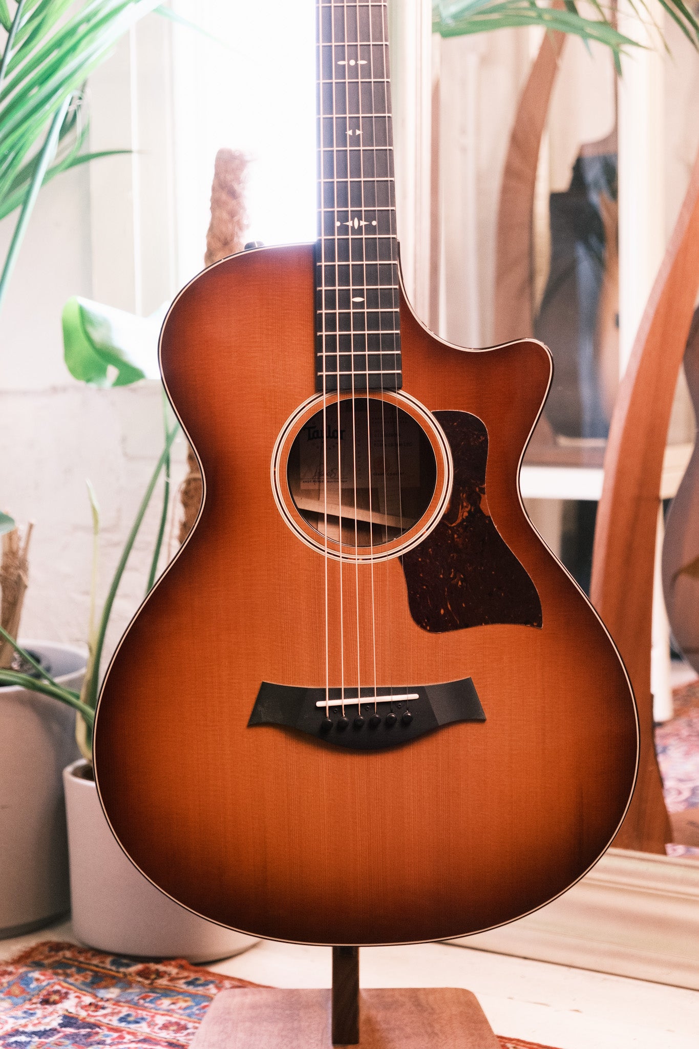 Taylor 512ce 12 Fret LTD V Class