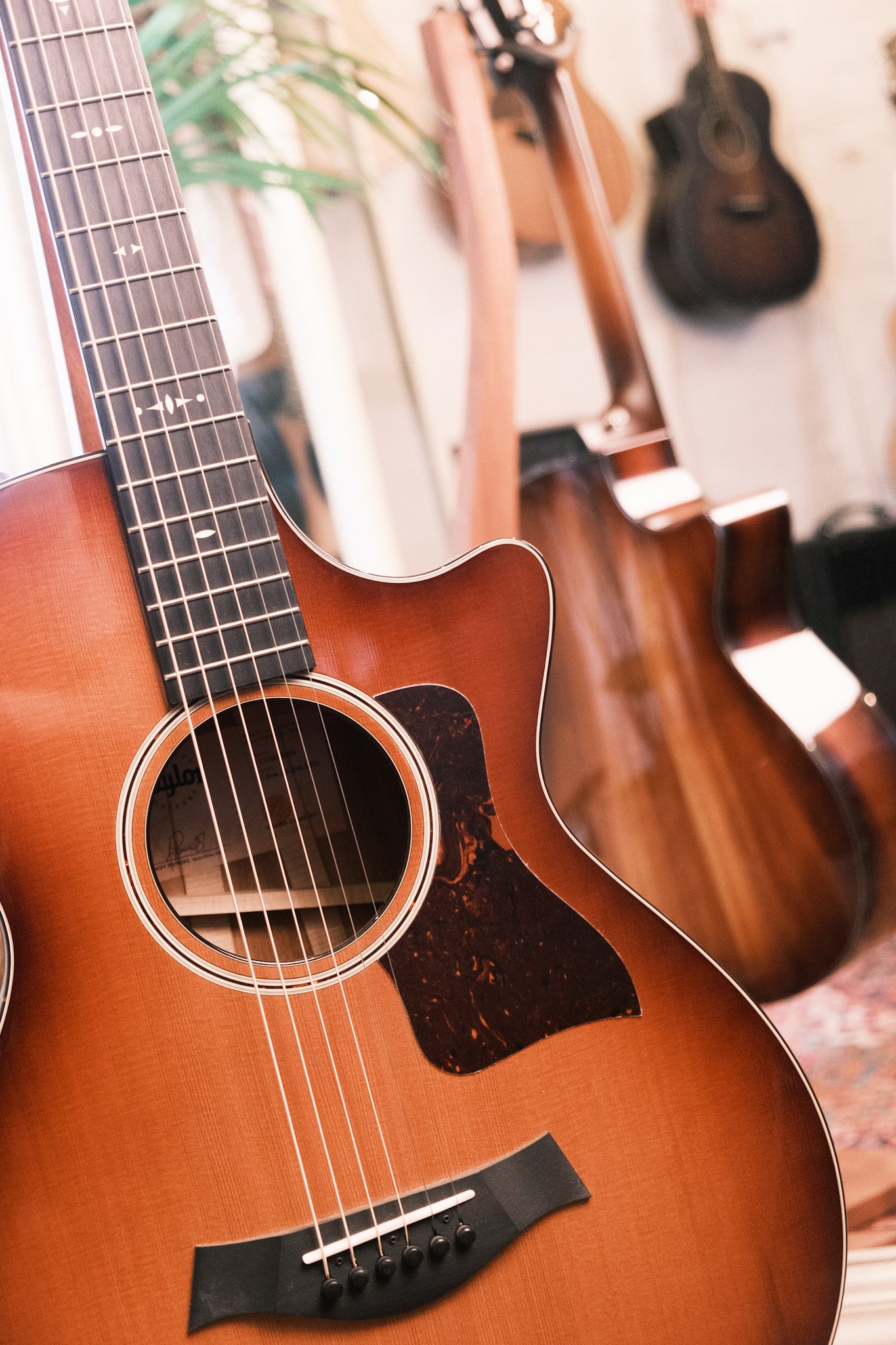 Taylor 512ce 12 Fret LTD V Class