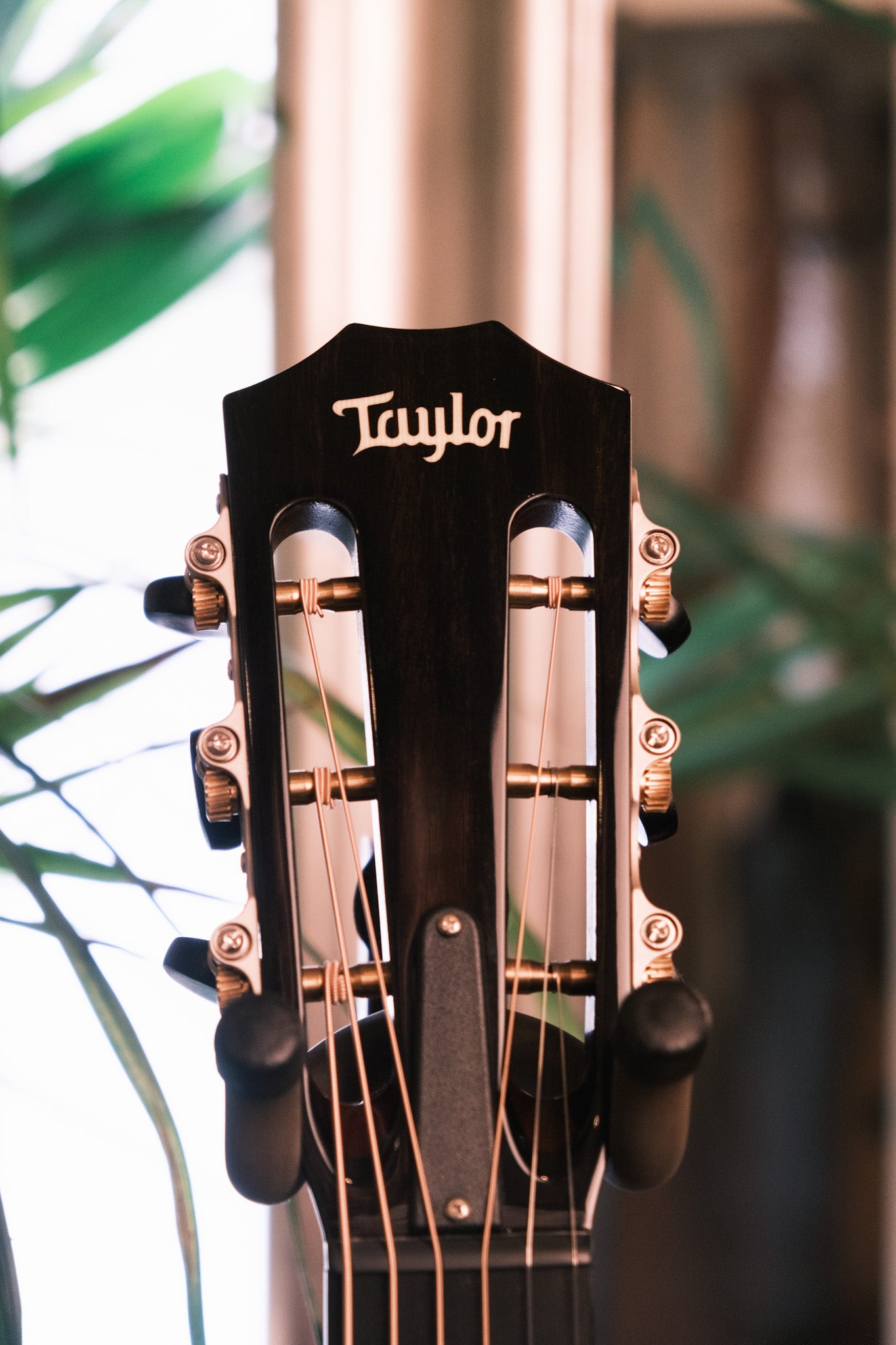 Taylor 512ce 12 Fret LTD V Class