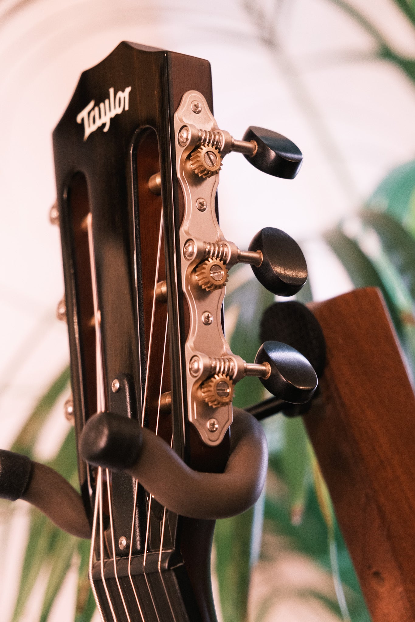 Taylor 512ce 12 Fret LTD V Class