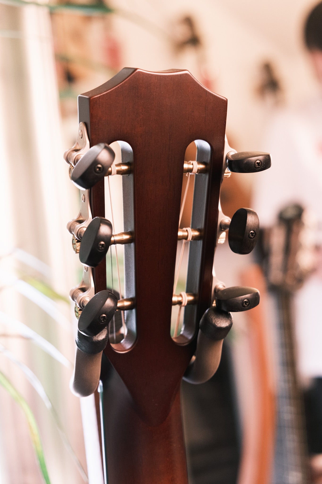 Taylor 512ce 12 Fret LTD V Class