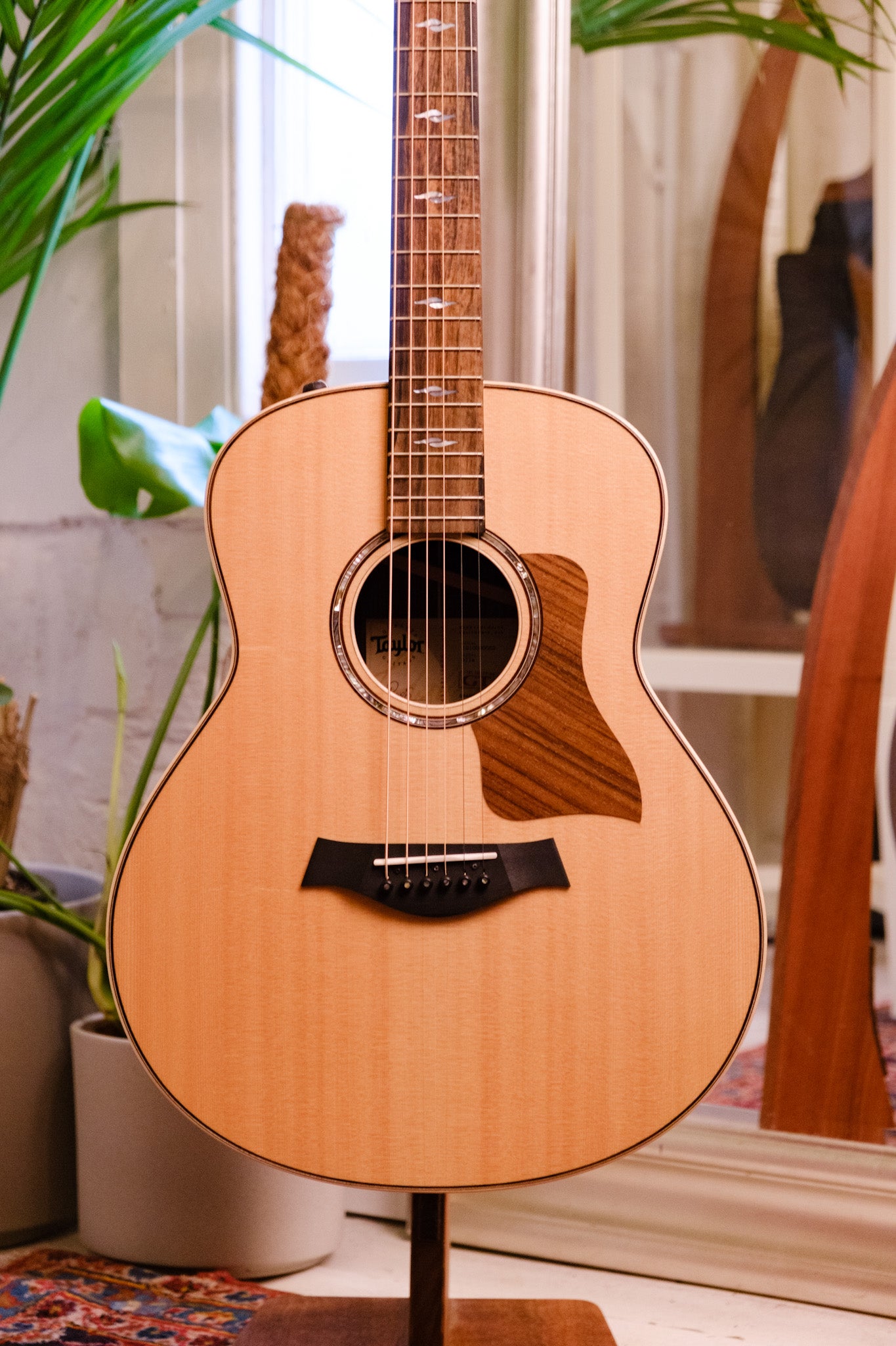 Taylor GT811e Grand Theatre