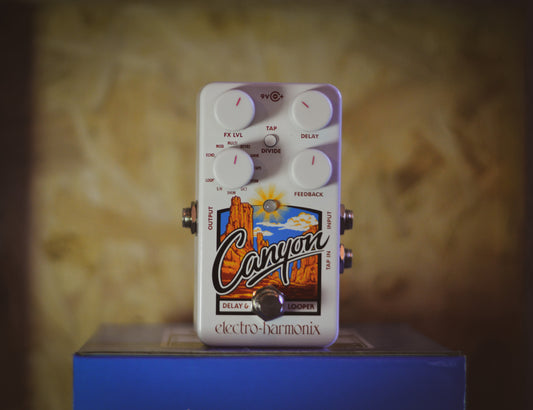 Electro Harmonix Canyon Delay & Looper